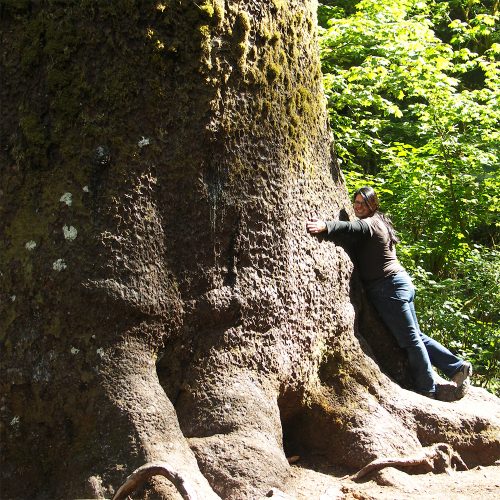 big tree
