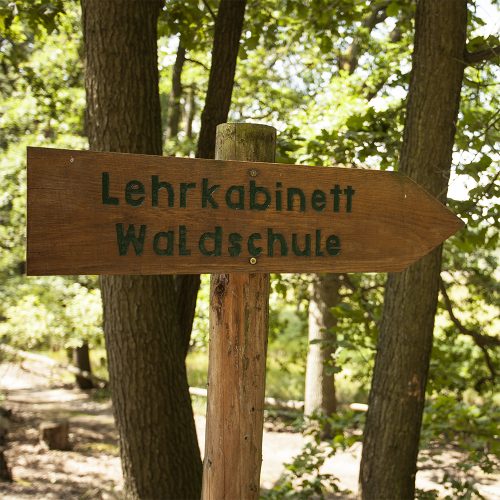waldschule