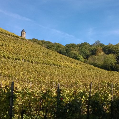 weinberg
